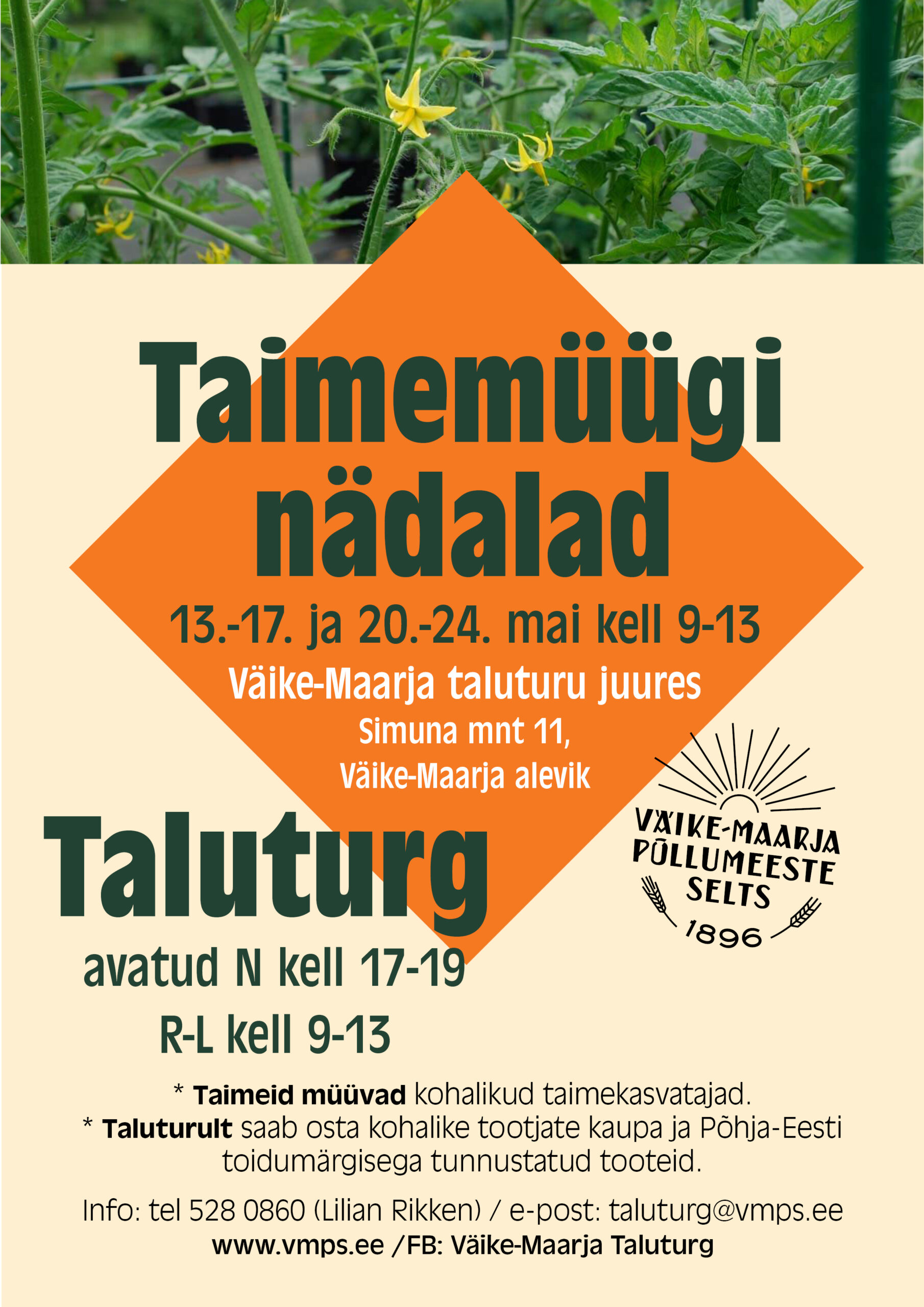 Avaleht -